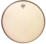 Remo Ambassador Renaissance - 20"