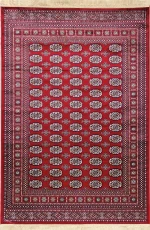 Χαλι Sonia 248/301220 - 160x230 Newplan - -