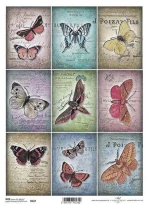 256099 Ριζόχαρτο `butterlfies` 21x29εκ. (itd-r537) (σετ 3 Τεμαχιων)