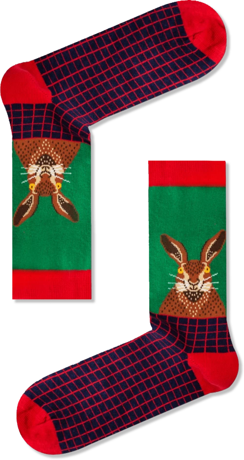 Vtex Socks Unisex κάλτσες Mr. Rabbit