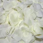 DIABLO PICANTE 100 VANILLA PETALS