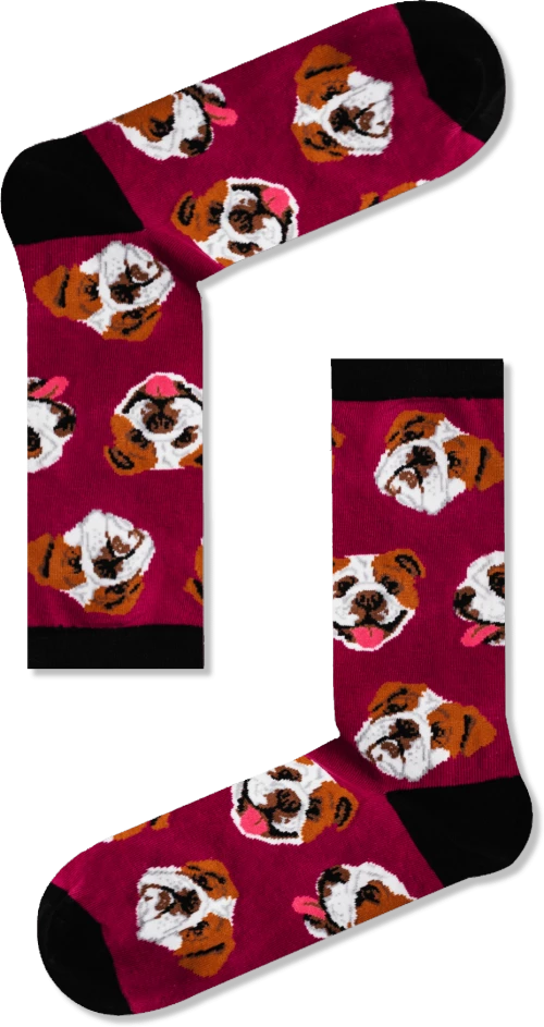 Unisex Κάλτσες English Bulldog