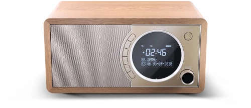 SHARP DIGITAL RADIO BROWN DR450BR
