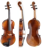 Gewa Allegro-VA1 | 33,0 cm (1/2 Βιόλα) | Ρυθμισμένο Με Βαλίτσα, Χωρίς Δοξάρι, Με Χορδές AlphaYue