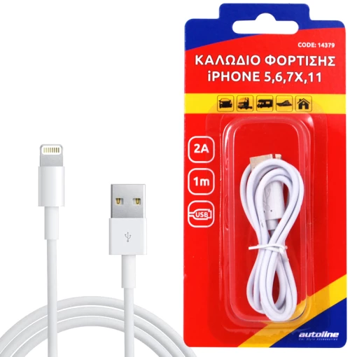 ΚΑΛΩΔΙΟ ΦΟΡΤΙΣΗΣ LIGHTNING 1m
