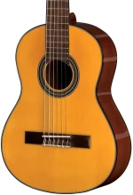 VGS Student - 1/2, Natural