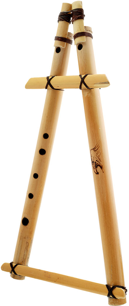 Anima DF1 Double Native Flute - F#