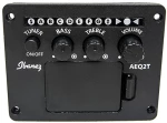 Ibanez AEQ2T