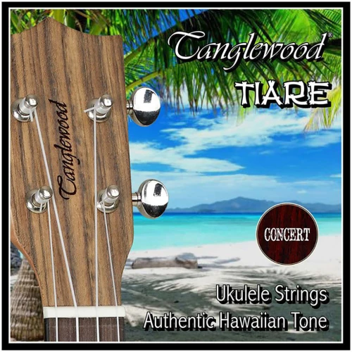 Tanglewood TWUS Concert Set