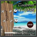 Tanglewood TWUS Concert Set