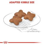 Royal canin Adult Mini 2kg