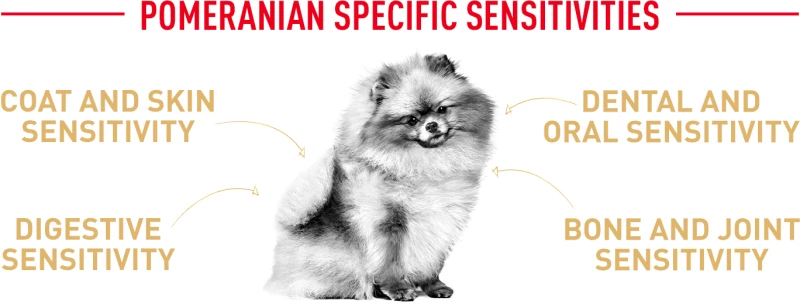 Royal Canin Pomeranian Adult 1,5kg