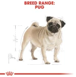 Royal Canin Pug Adult 1,5kg