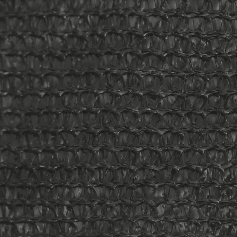 vidaXL Πανί Σκίασης Ανθρακί 2 x 4,5 μ. από HDPE 160 γρ./μ² 2 x 4.5 m Ανθρακί