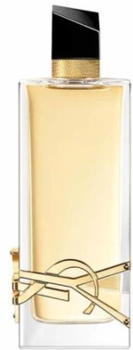Γυναικείο Άρωμα Yves Saint Laurent EDP Libre (150 ml)     3614273011785