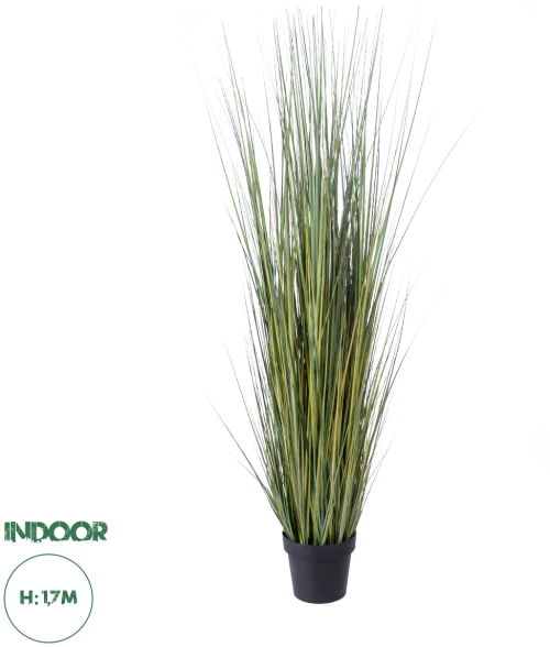 GloboStar® Artificial Garden PAMPAS GRASS 20072 Τεχνητό Διακοσμητικό Φυτό Γρασίδι της Πάμπας Υ170cm