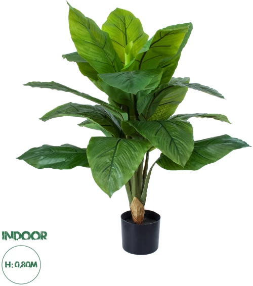 GloboStar® Artificial Garden ROHDEA JAPONICA 20068 Τεχνητό Διακοσμητικό Φυτό Ιαπωνέζικη Ροδέα Υ80cm