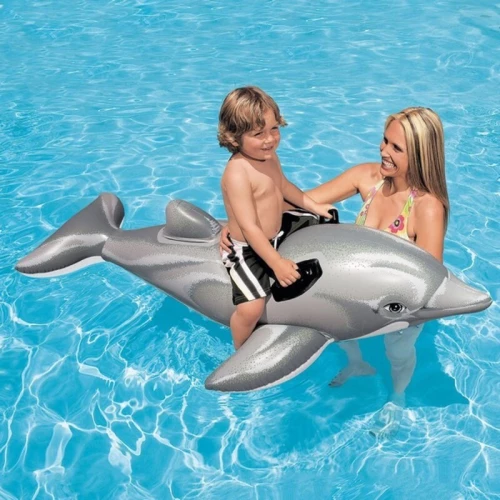 Lil' Dolphin