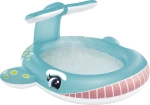 Whale Spray Pool