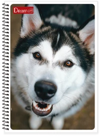 Τετράδιο σπιράλ Dream 17x25cm Husky 2θέματα 120σελίδες