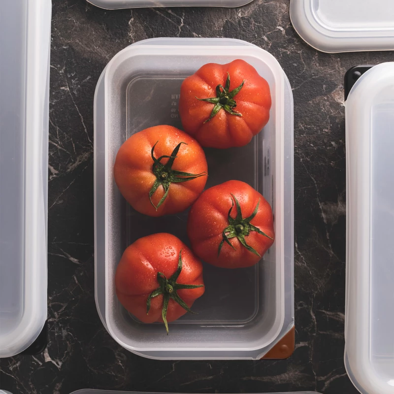 Foodies Πλαστικό Δοχείο Τροφίμων με Καπάκι 1000ml