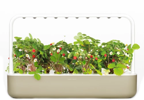 Smart Garden 9 - Beige
