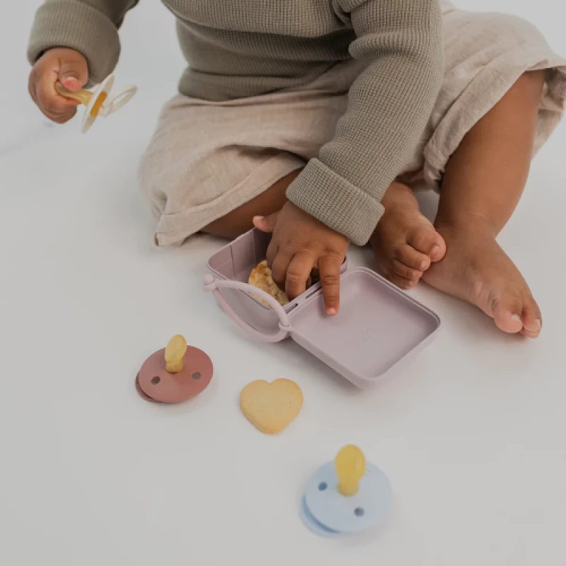 Bibs Θήκη Πιπίλας Dusty Lilac