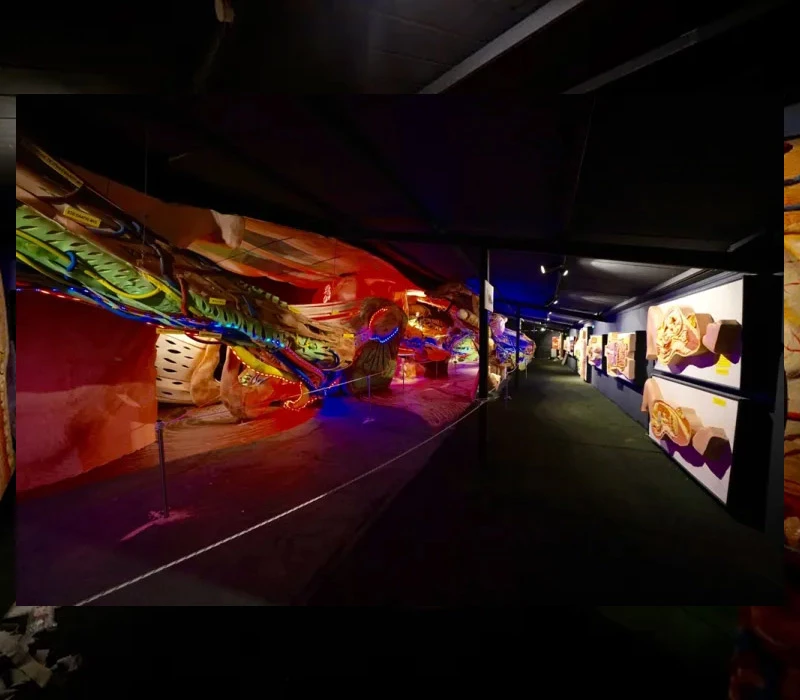 Human Body Museum & Dinosaurs Park, ξενάγηση για 10 άτομα!