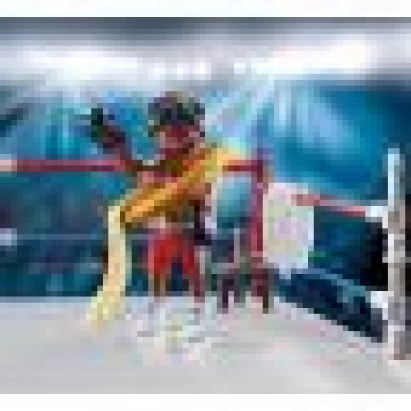 Πρωταθλητής Στο Μποξ 70879 Playmobil