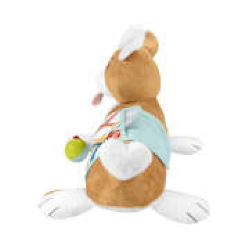 Μαξιλαράκι Δραστηριοτήτων Σκυλάκι Fisher Price