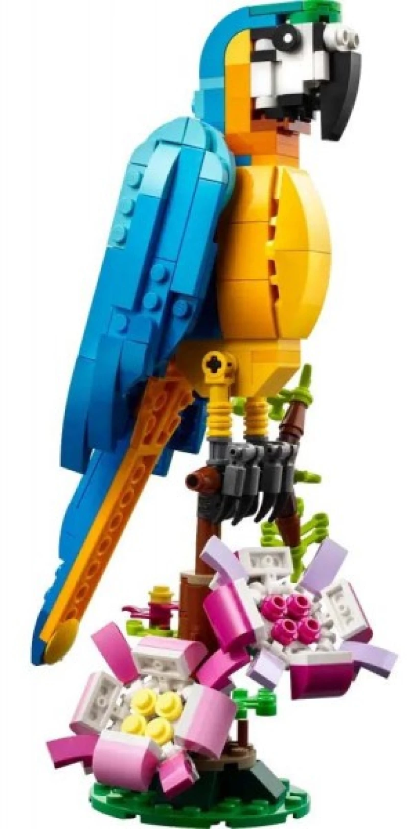 Εξωτικός Παπαγάλος LEGO®