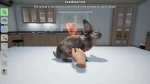 MY LIFE: PET VET - PS4