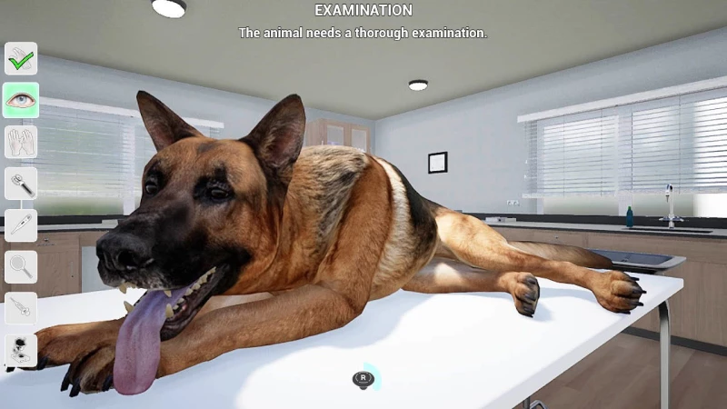 MY LIFE: PET VET - PS4