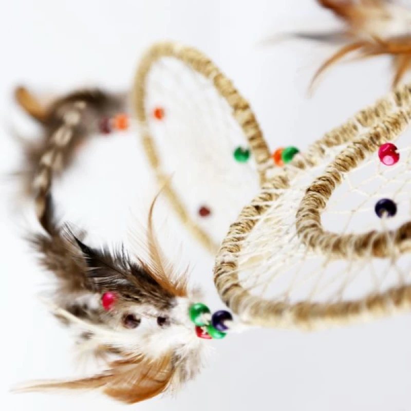 ΟΝΕΙΡΟΠΑΓΙΔΑ ΦΥΣΙΚΟ ΣΚΟΙΝΙ 80X20ΕΚ.