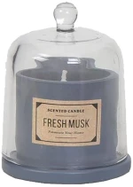 Αρωματικό Κερί σε Βάζο Fresh Musk με Γυάλινο Καπάκι 100gr Espiel COC212K12a σιελ