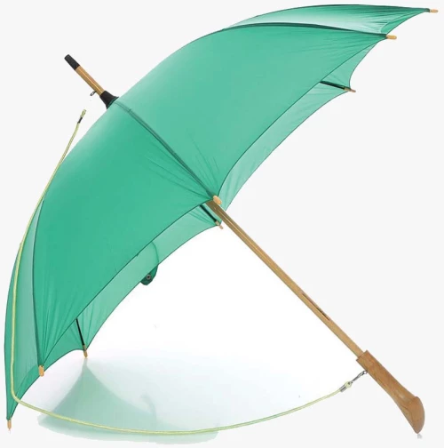 Ομπρέλα χειροκίνητη (002-5402-green)