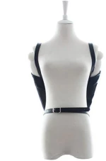 Total back restraint arms (black)