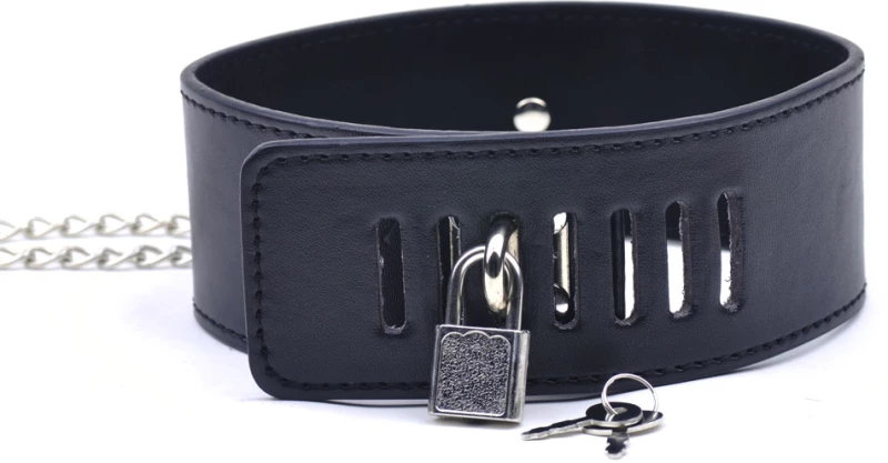 Black Collar with Nipple Clamps