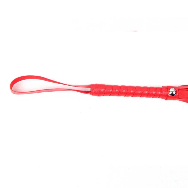 Red Leather Whip