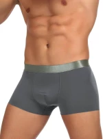 High Quality Silver-Silver Boxer