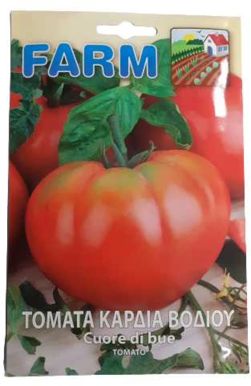 Τομάτα cuor di bue(καρδιά του βοδιού) σχήμα καρδιάς
