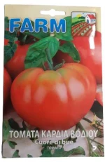 Τομάτα cuor di bue(καρδιά του βοδιού) σχήμα καρδιάς