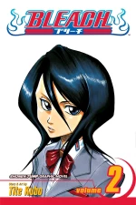 BLEACH 02  PA
