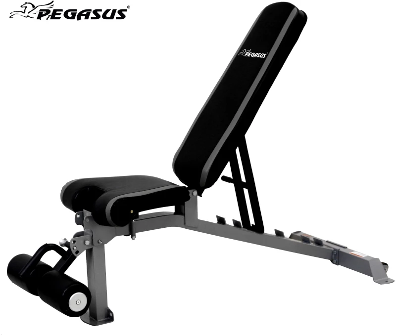 Πάγκος Ρυθμιζόμενος Pegasus® VB Λ-563