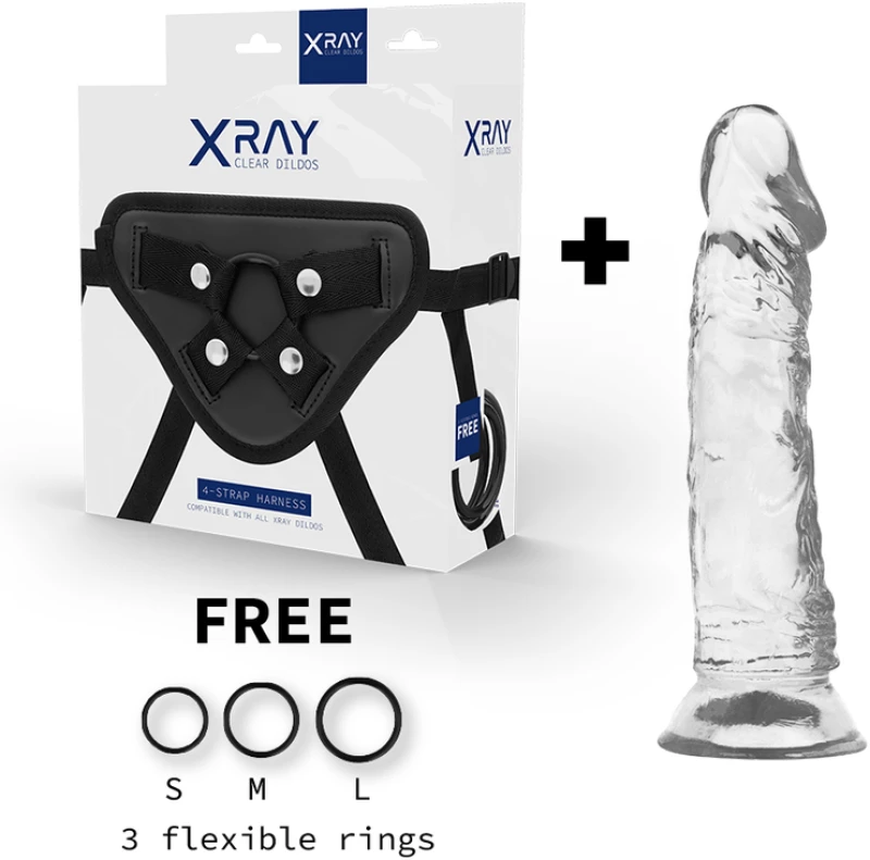 XRAY HARNESS + CLEAR COCK 19CM X 4CM
