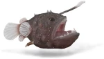 Collecta Θαλάσσια Ζώα - Πεσκανδρίτσα (88967)