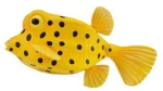 Collecta Θαλάσσια Ζώα - Κίτρινο Ψάρι Κουτί (88788)