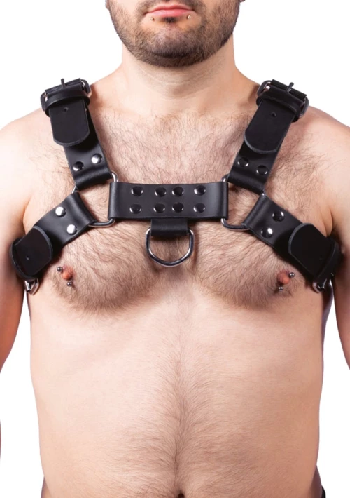 Leather Harness Buckle Black
