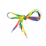 Pair of Rainbow Shoelaces
