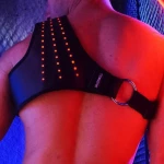 SYNERGY Breedwell Lighted Harness